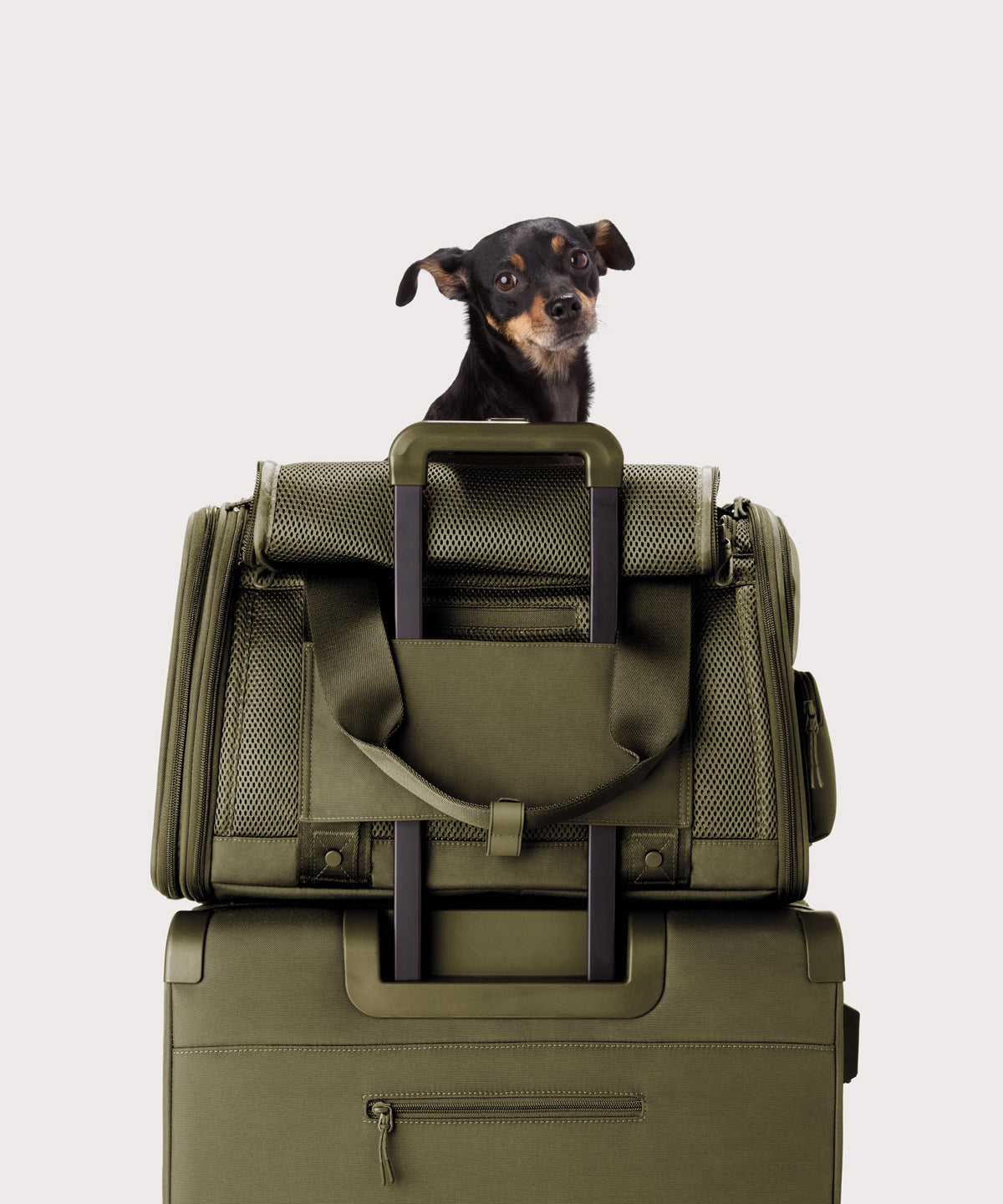 Kyoto Pet Carrier in Dark Moss. Large - Image 7