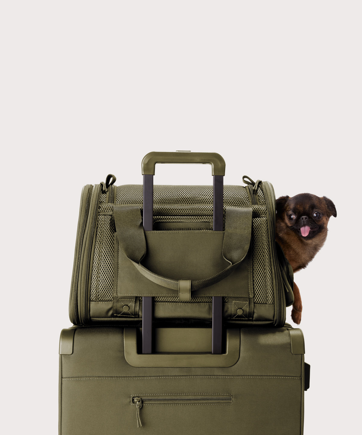 Kyoto Pet Carrier in Dark Moss. Small - Image 7