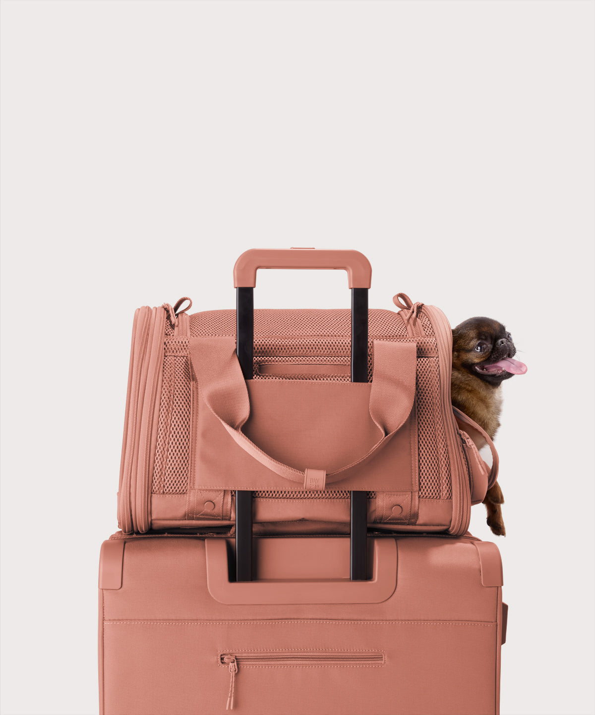 Kyoto Pet Carrier in Warm Dust. Small - Image 7